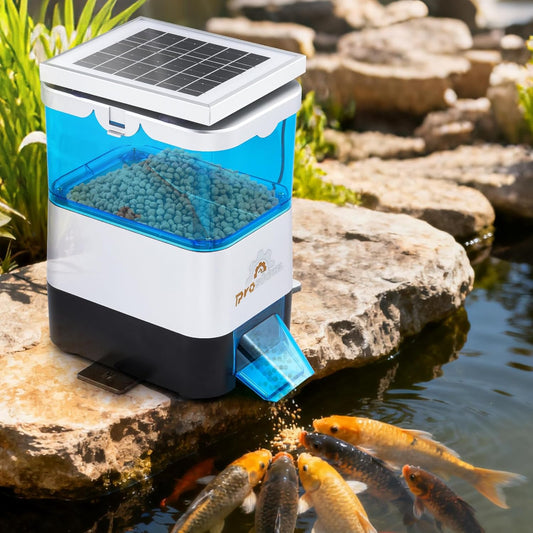Automatic Fish Feeder for Pond Solar Powered 2.8L Capacity, Battery & AC Auto Timed, Indoor & Outdoor