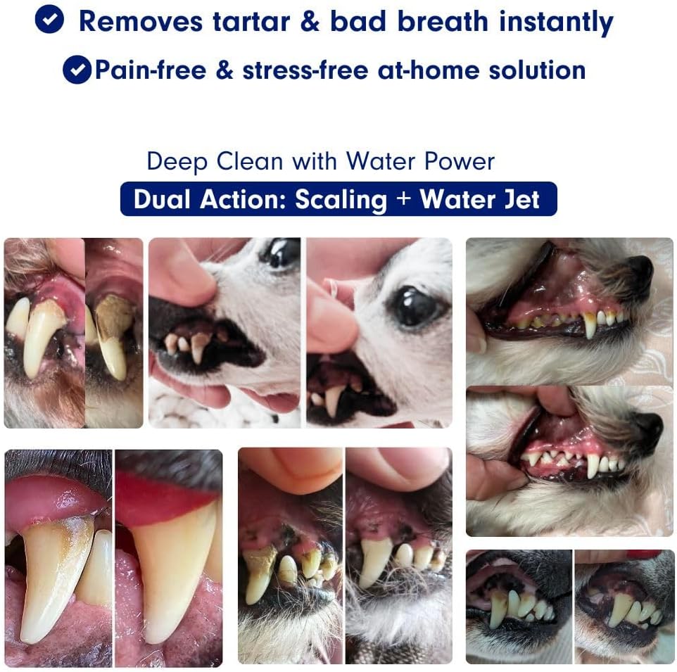 Canivet Silent Sonic Plaque & Tartar Remover for Dogs – Ultra-Quiet Dental Cleaner with Scaler, Toothbrush Heads