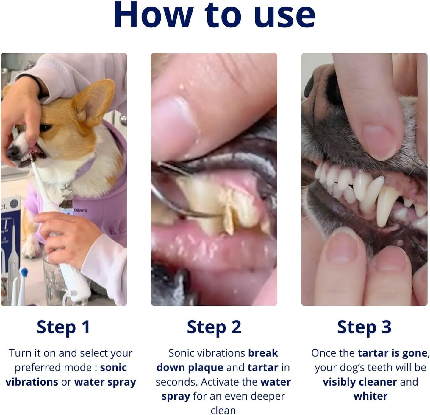 Canivet Silent Sonic Plaque & Tartar Remover for Dogs – Ultra-Quiet Dental Cleaner with Scaler, Toothbrush Heads