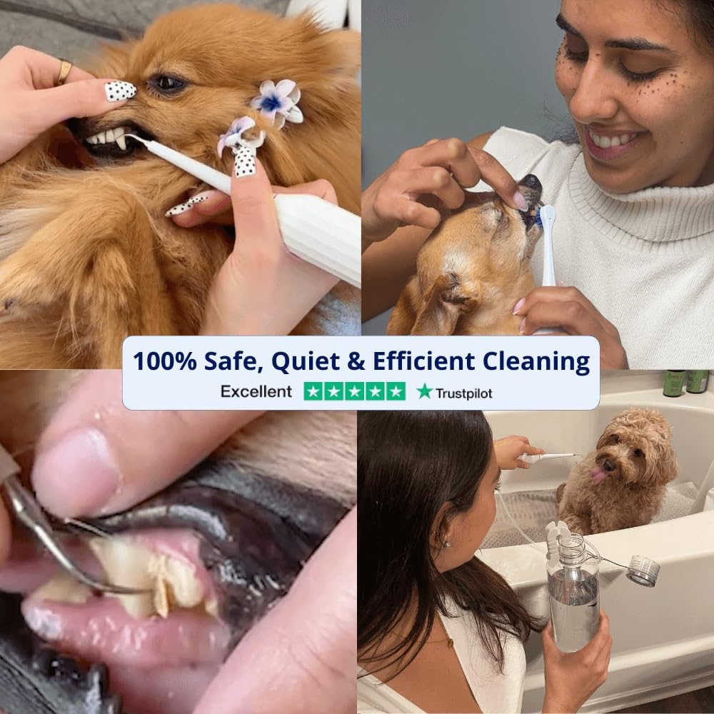 Canivet Silent Sonic Plaque & Tartar Remover for Dogs – Ultra-Quiet Dental Cleaner with Scaler, Toothbrush Heads