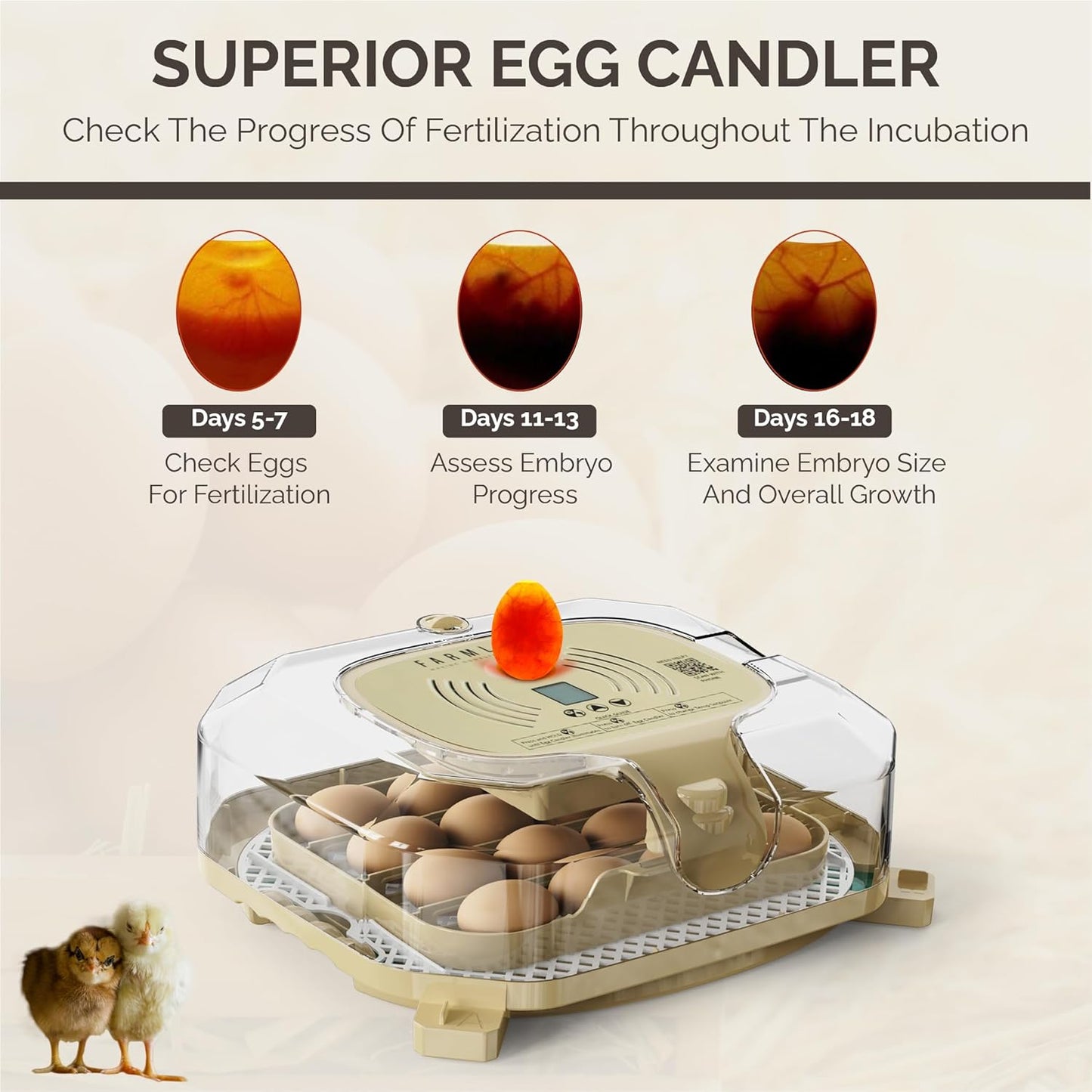 Incubator for Hatching