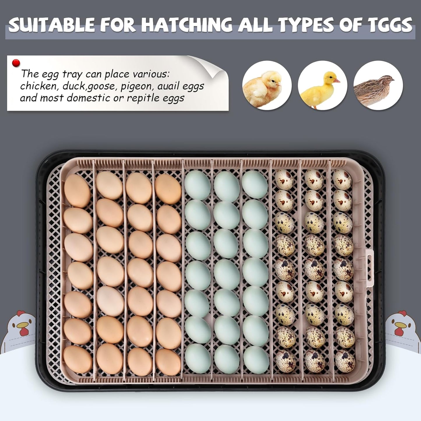70 Egg Incubator with Automatic Egg Turning and Auto Humidification, Temperature Control, Incubator for Hatching