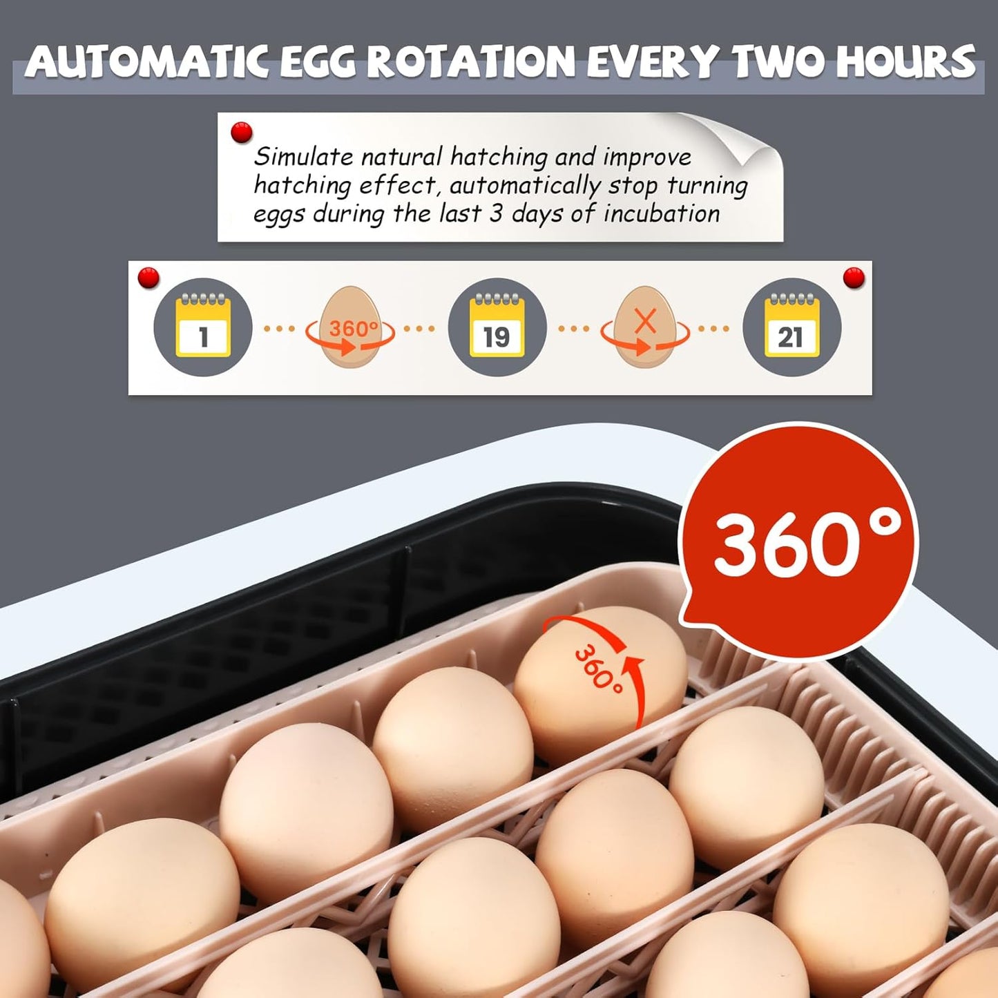 70 Egg Incubator with Automatic Egg Turning and Auto Humidification, Temperature Control, Incubator for Hatching
