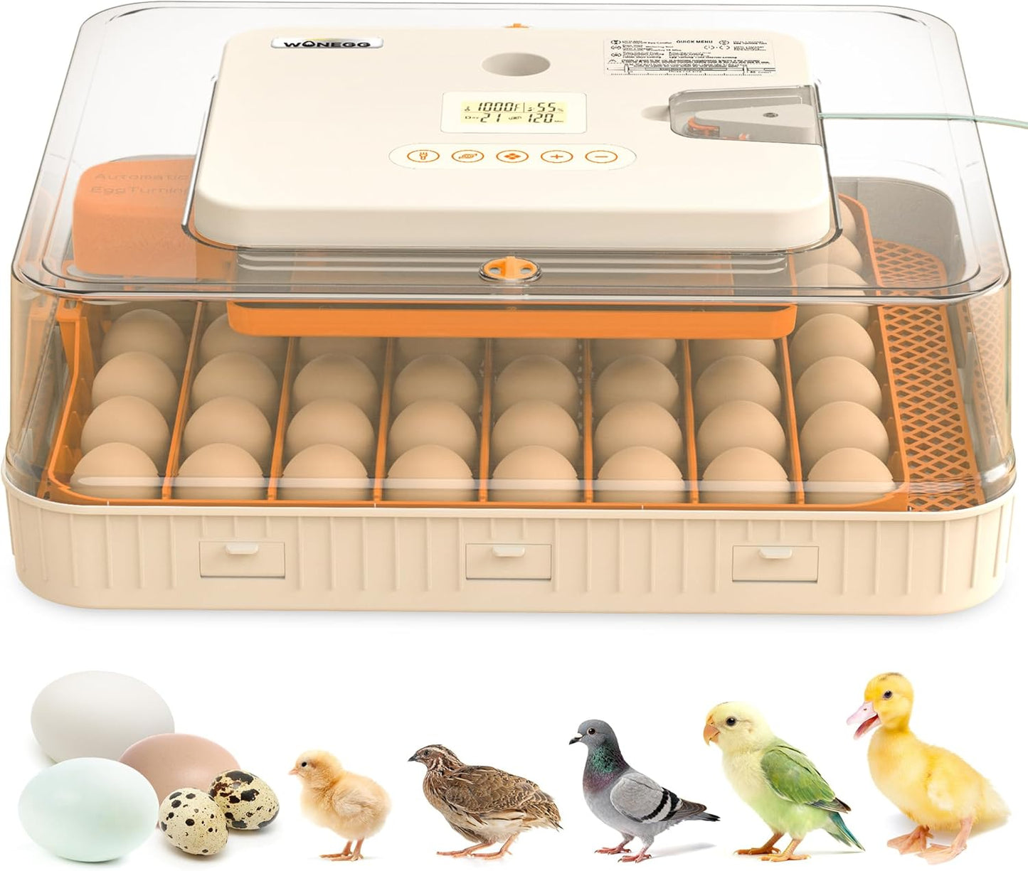 Egg Incubator for Hatching Eggs with Automatic Egg Turning, Temperature and Humidity Control, LED Egg Candling Light