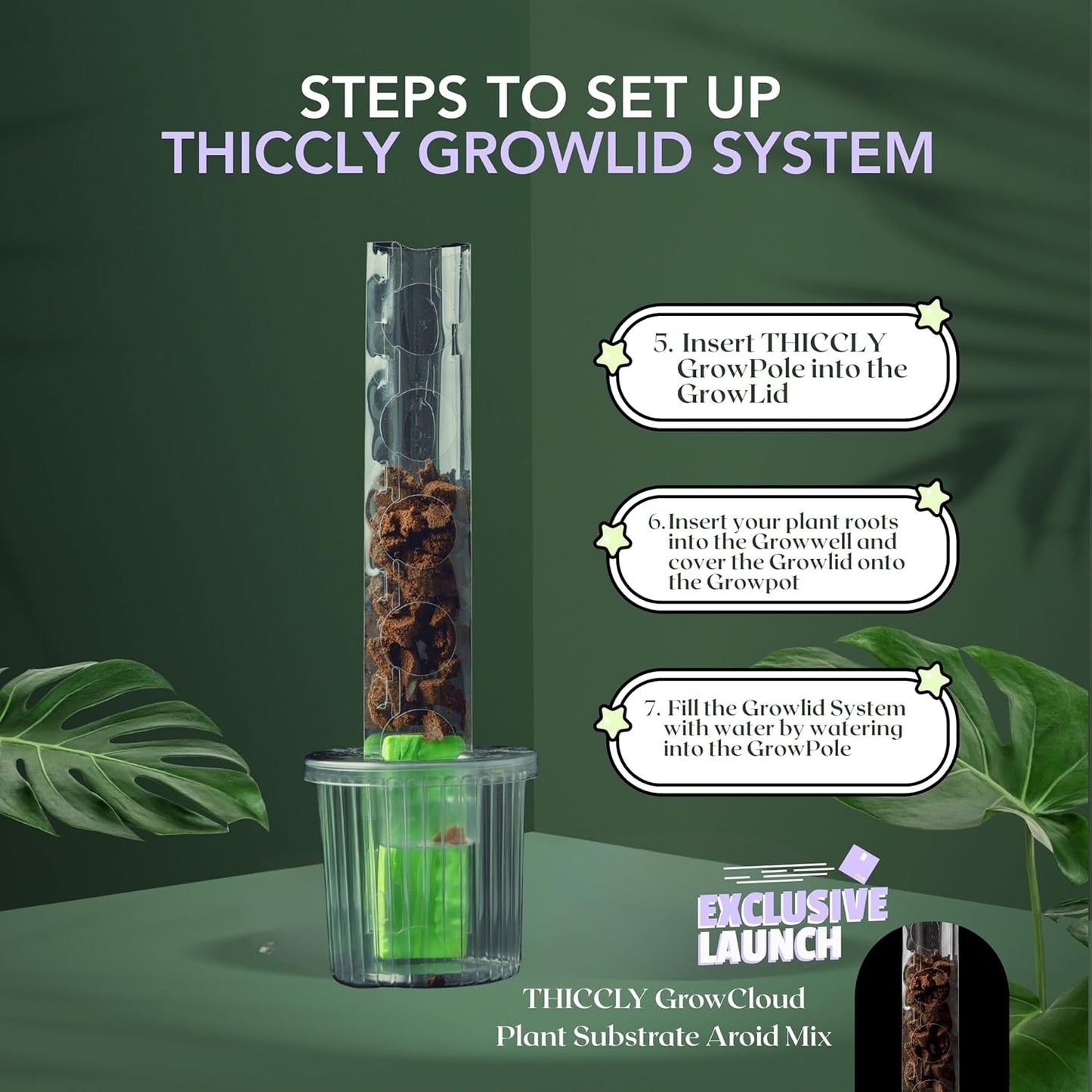 THICCLY Medium GrowLid 5 Pcs (Clear) - Self Watering Clear D-Shaped Plastic Moss Pole Hydroponics