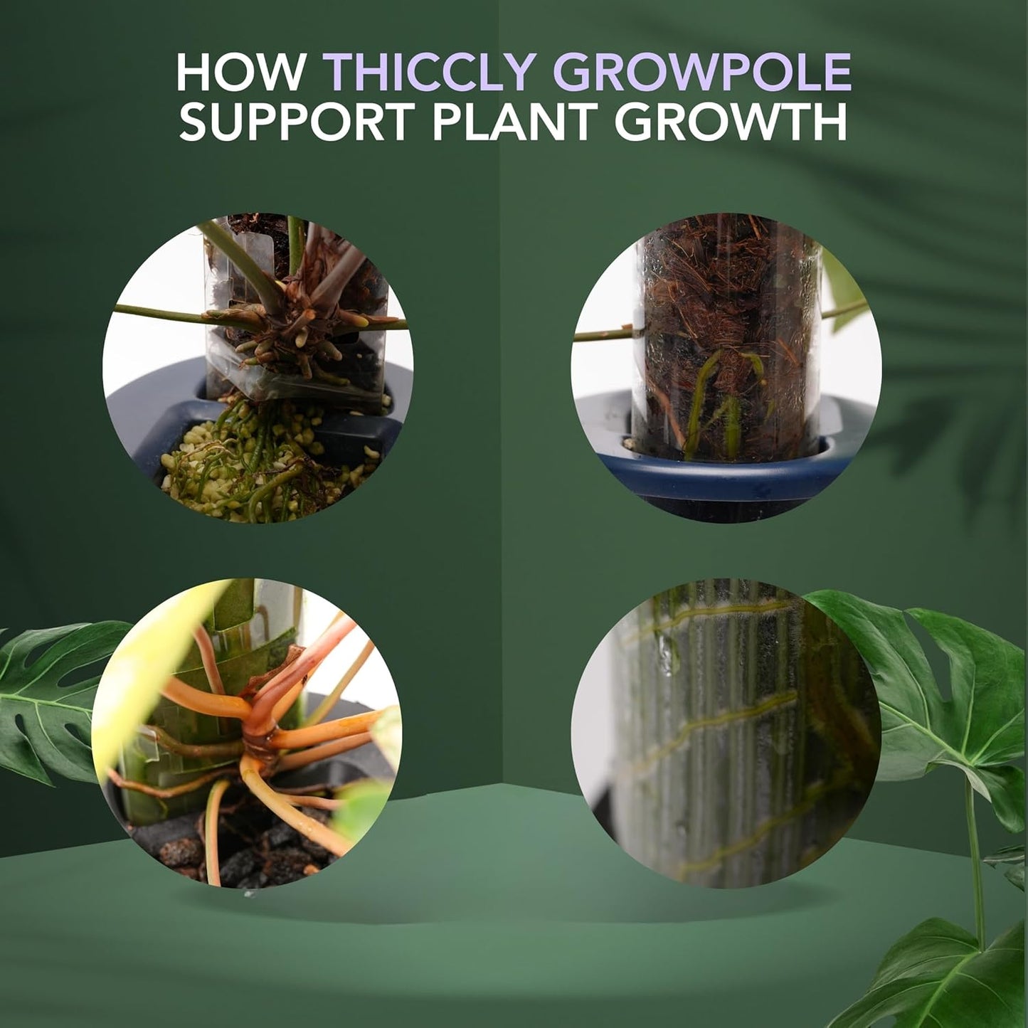 THICCLY Medium GrowLid 5 Pcs (Clear) - Self Watering Clear D-Shaped Plastic Moss Pole Hydroponics