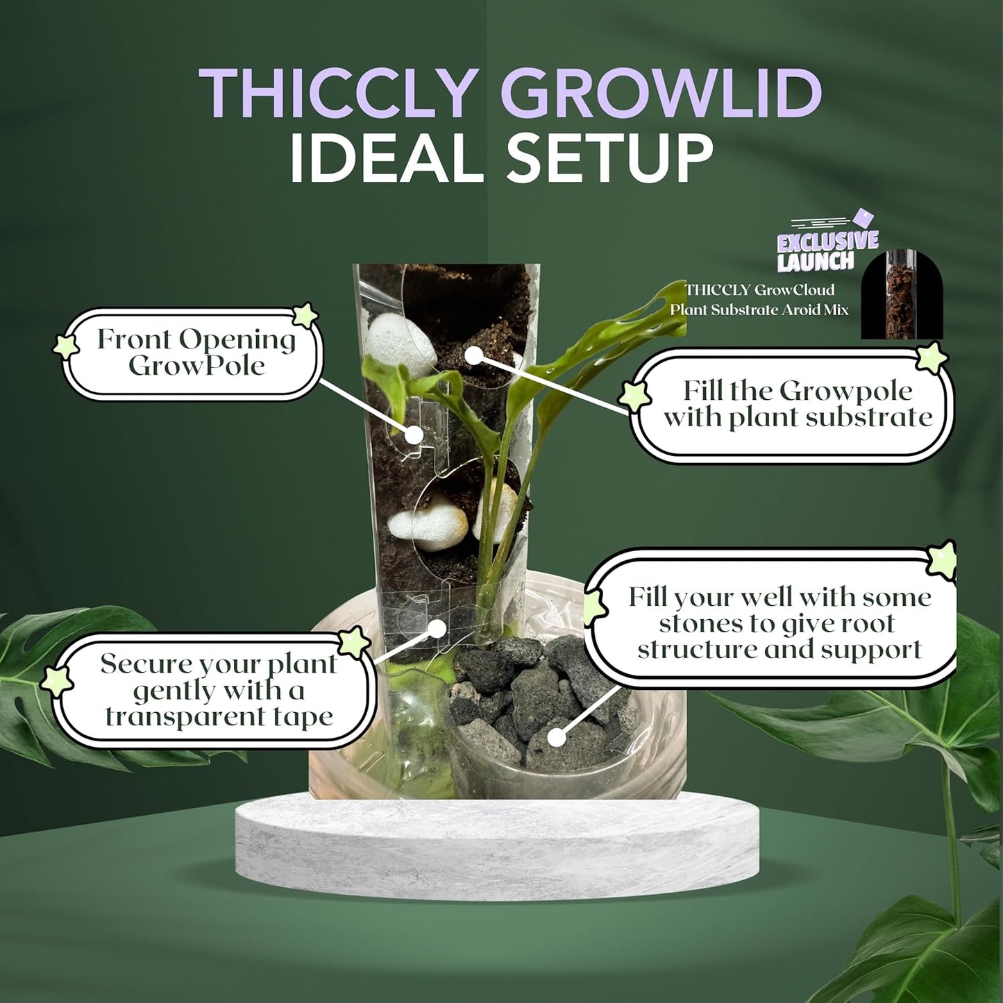 THICCLY Medium GrowLid 5 Pcs (Clear) - Self Watering Clear D-Shaped Plastic Moss Pole Hydroponics