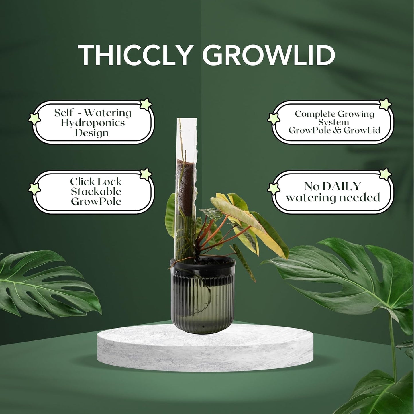 THICCLY Medium GrowLid 5 Pcs (Clear) - Self Watering Clear D-Shaped Plastic Moss Pole Hydroponics