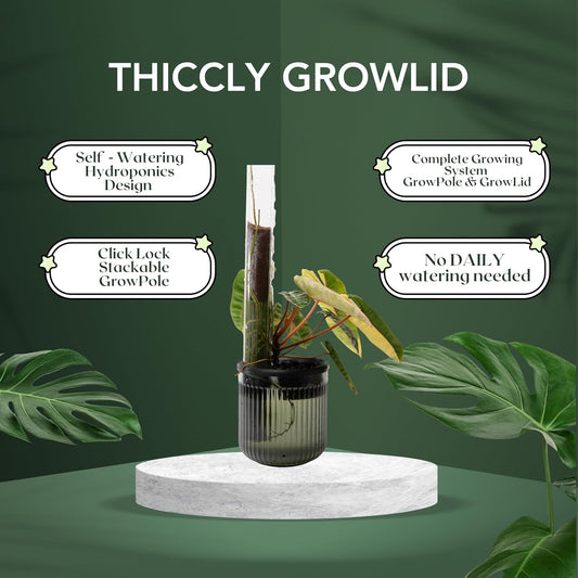 THICCLY Medium GrowLid 5 Pcs (Clear) - Self Watering Clear D-Shaped Plastic Moss Pole Hydroponics