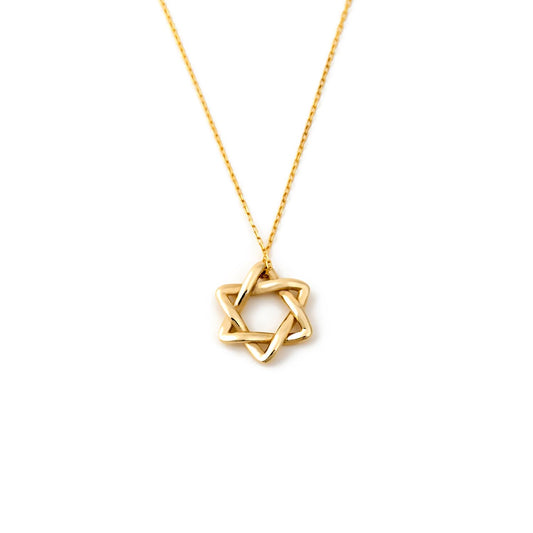 Gelin Dainty Interlocking Star of David Necklace for Women in 10K Solid Gold, 18 Inch Chain