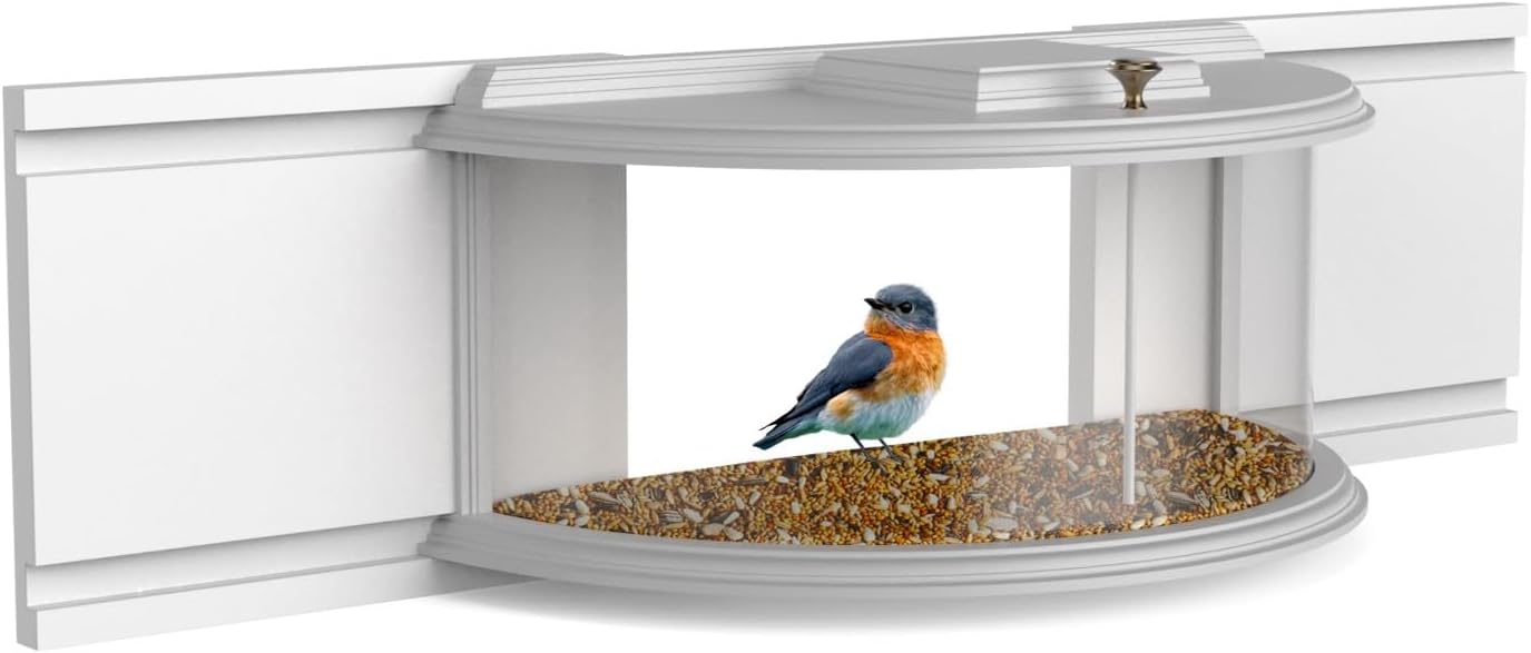 Boss Premium ClearBird Indoor Window Bird Feeder Inside House for See Through Viewing Mounted Insert Feeding Station with Sealing Foam Tape, 24 to 32