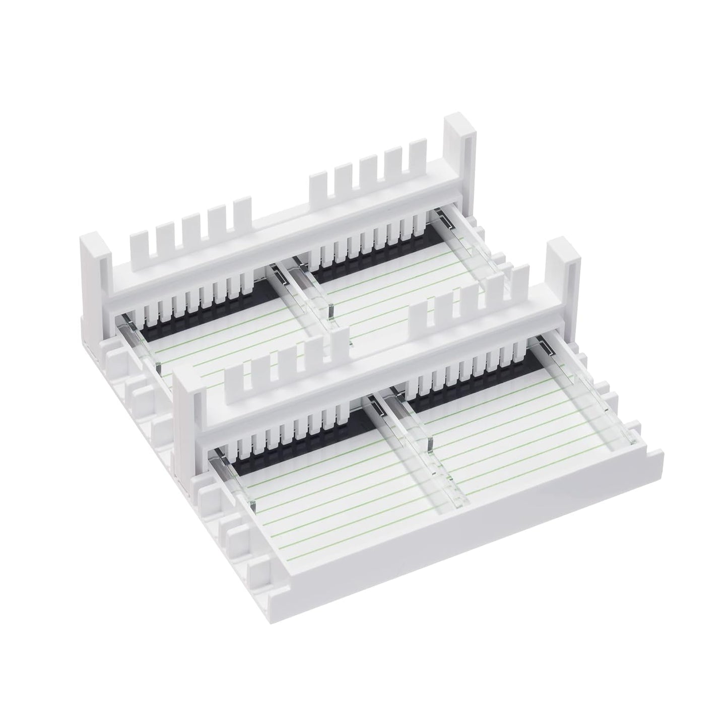 IVYX Scientific Mini Gel Electrophoresis System, with Power Supply 35V 50V 100V and Timer