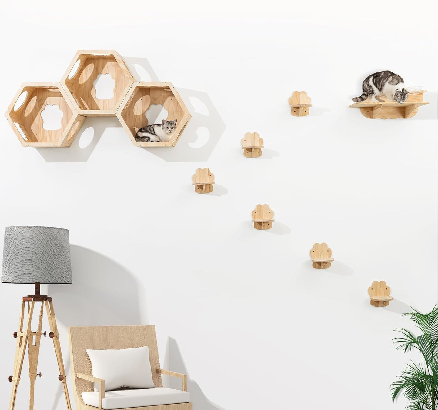 Hexagonal Cat Wall Shelves for Refined Feline, Set of 10 Cat Wall Furniture with Feeding Shelf