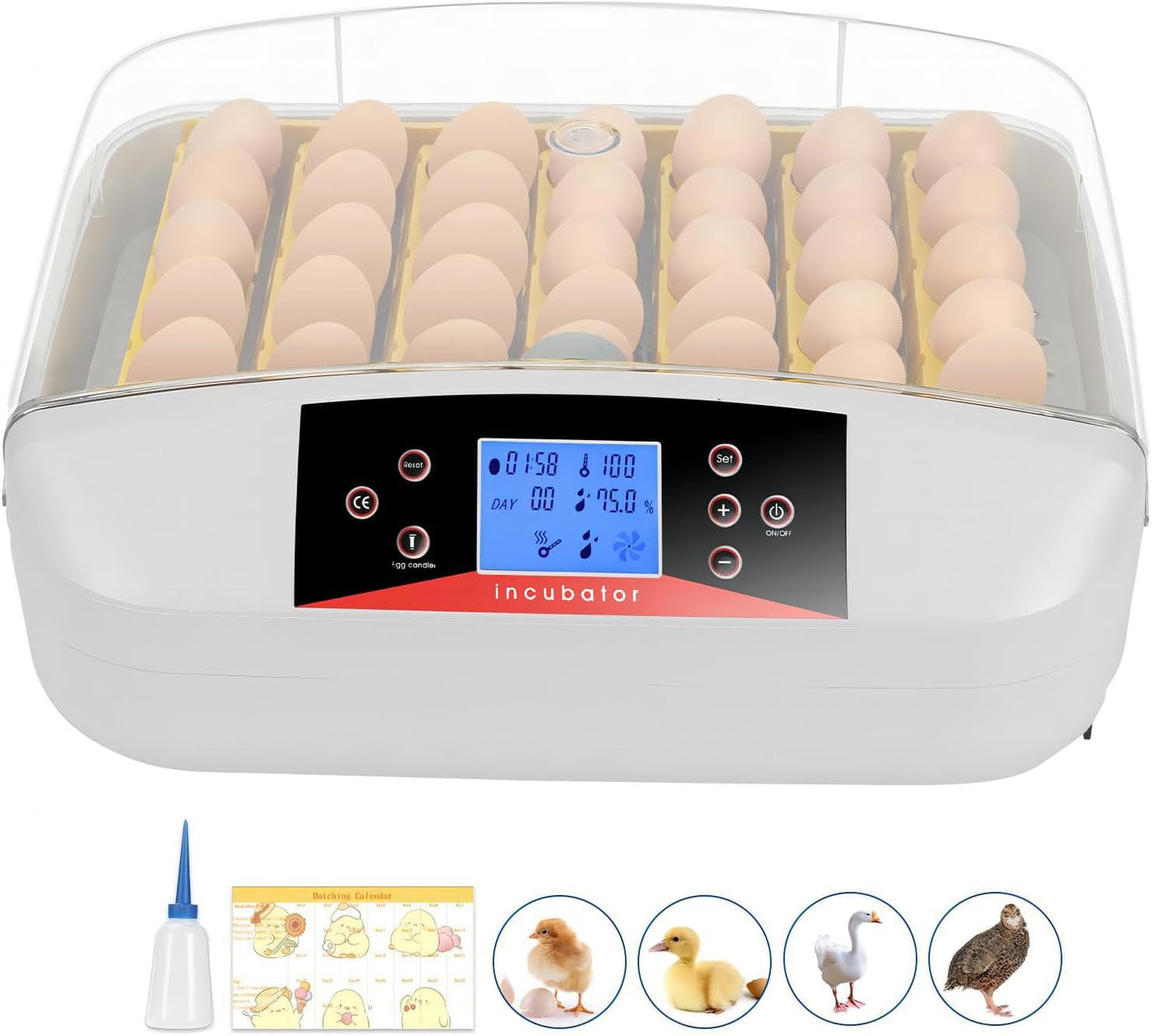 wyness 56 Egg Incubator with Automatic Egg Turning, LED Egg Candler and Automatic Temperature Control, Incubators for Hatching Eggs with  Display for