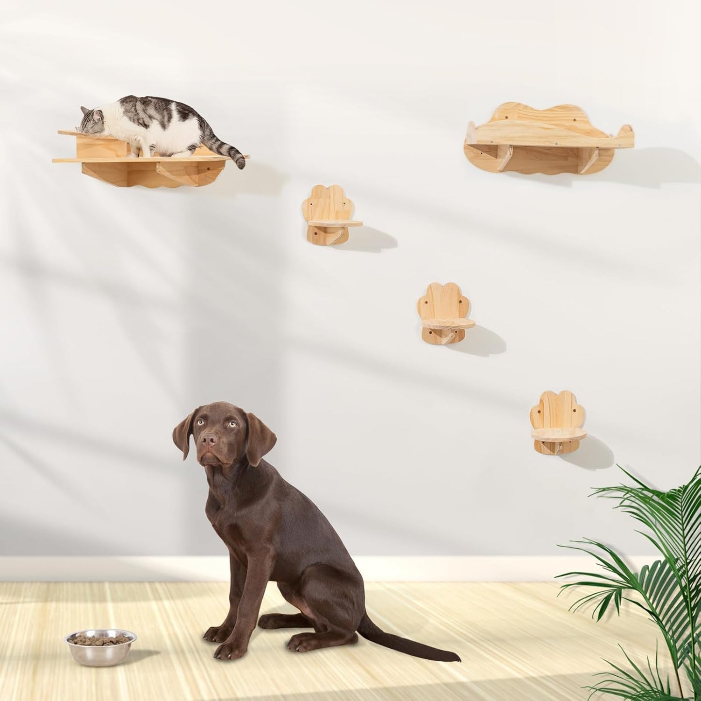 Cat Wall Furniture, Set of 7 with Feeding Stand, 3 Cat Steps and a Resting Bed.