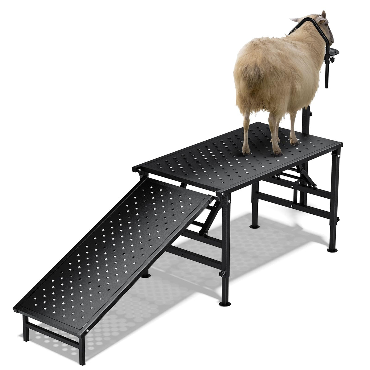 Professional Goat Milking Stand with Ramp Black with Ramp