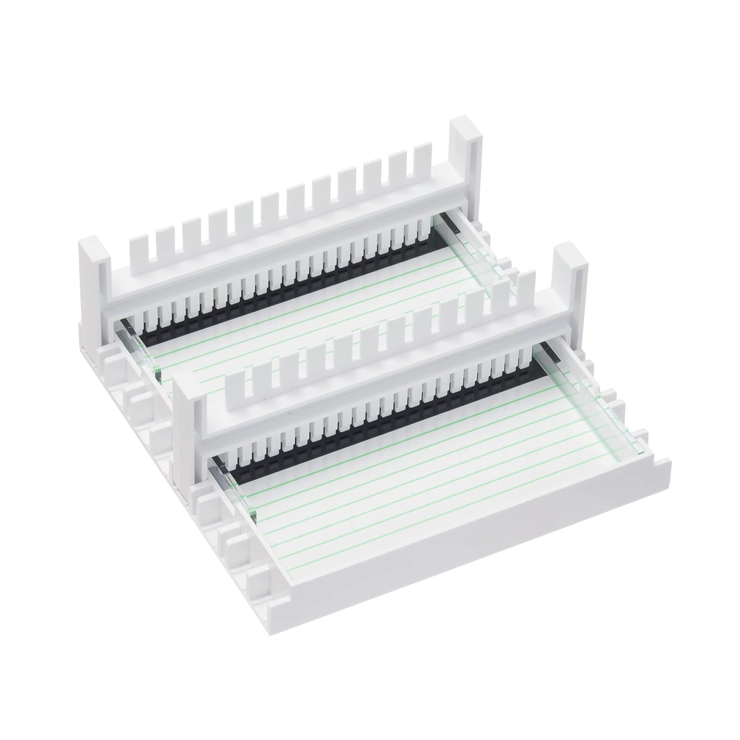 IVYX Scientific Mini Gel Electrophoresis System, with Power Supply 35V 50V 100V and Timer