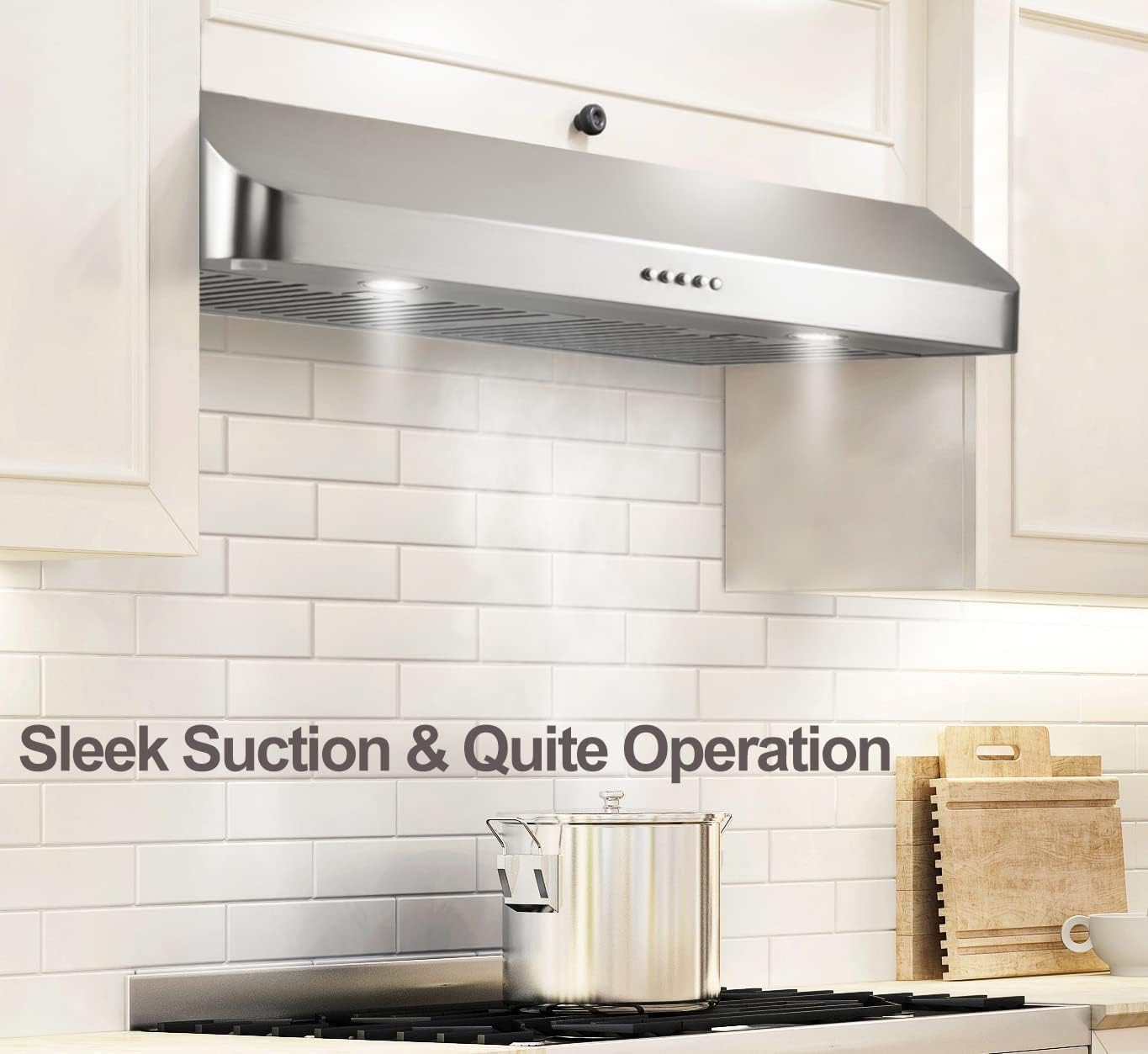 30 Inch Under Cabinet Range Hood Kitchen Vent Hood,Built in Range Hood for Ducted in Stainless Steel, with Permanent Stainless Steel Filters