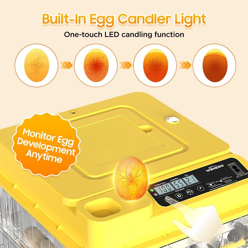 Egg Incubator - 2026 New Egg Incubator with Automatic Egg Turning and Humidity Control,Large Poultry Hatcher for Chickens Birds Ducks (288 Eggs)