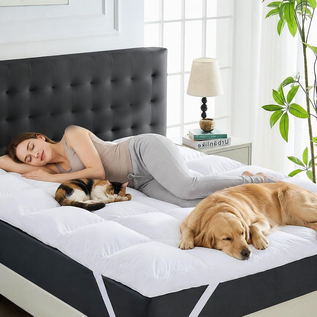3 Inch Down Mattress Topper Queen, Goose Down & Feather Shredded Memory Foam Feather Bed Mattress Topper, Triple-Layer Downproof Pillow Top, 100% Cotton Cover, Elastic Straps, 60x80 Inch