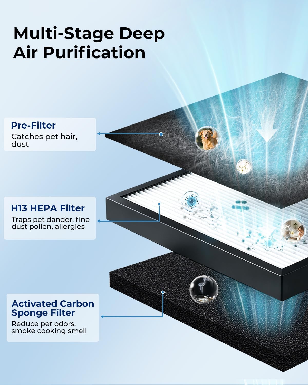 Pet Hair Air Purifier for Large Room Up to 2100 Ft²