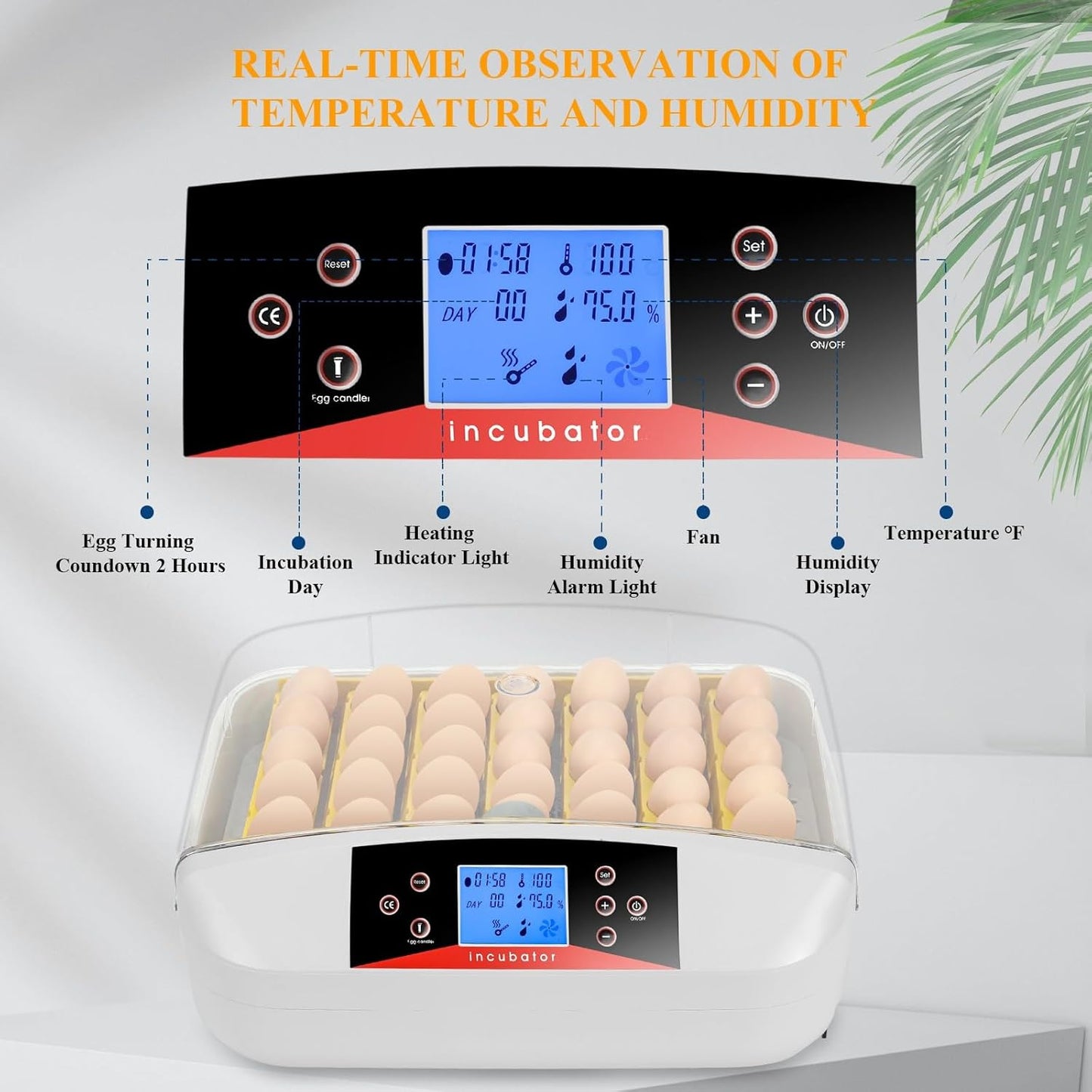 wyness 56 Egg Incubator with Automatic Egg Turning, LED Egg Candler and Automatic Temperature Control, Incubators for Hatching Eggs with  Display for