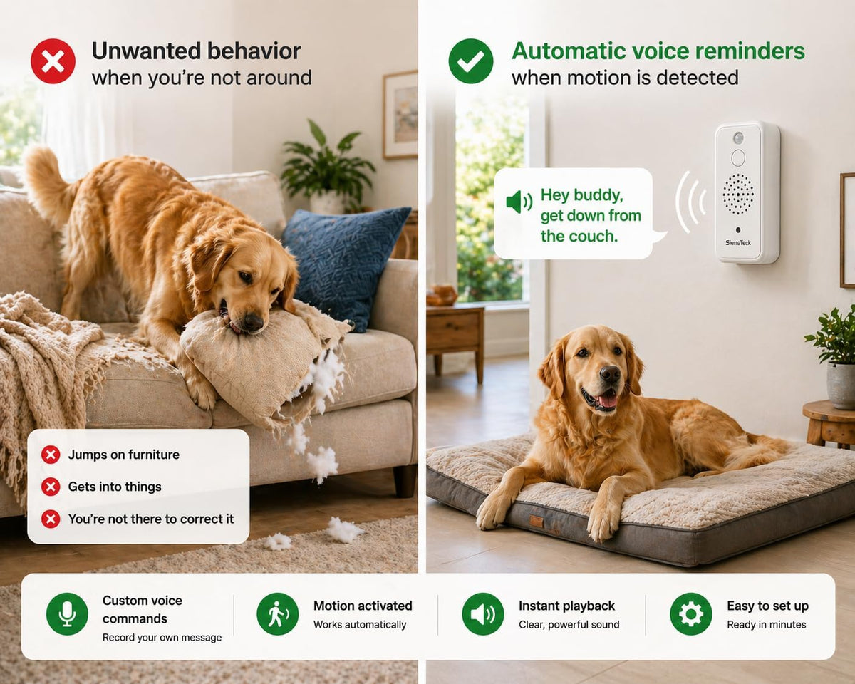 SierraTeck Pro: Motion-Activated Audio Player - Wi-Fi & Real-Time Alerts