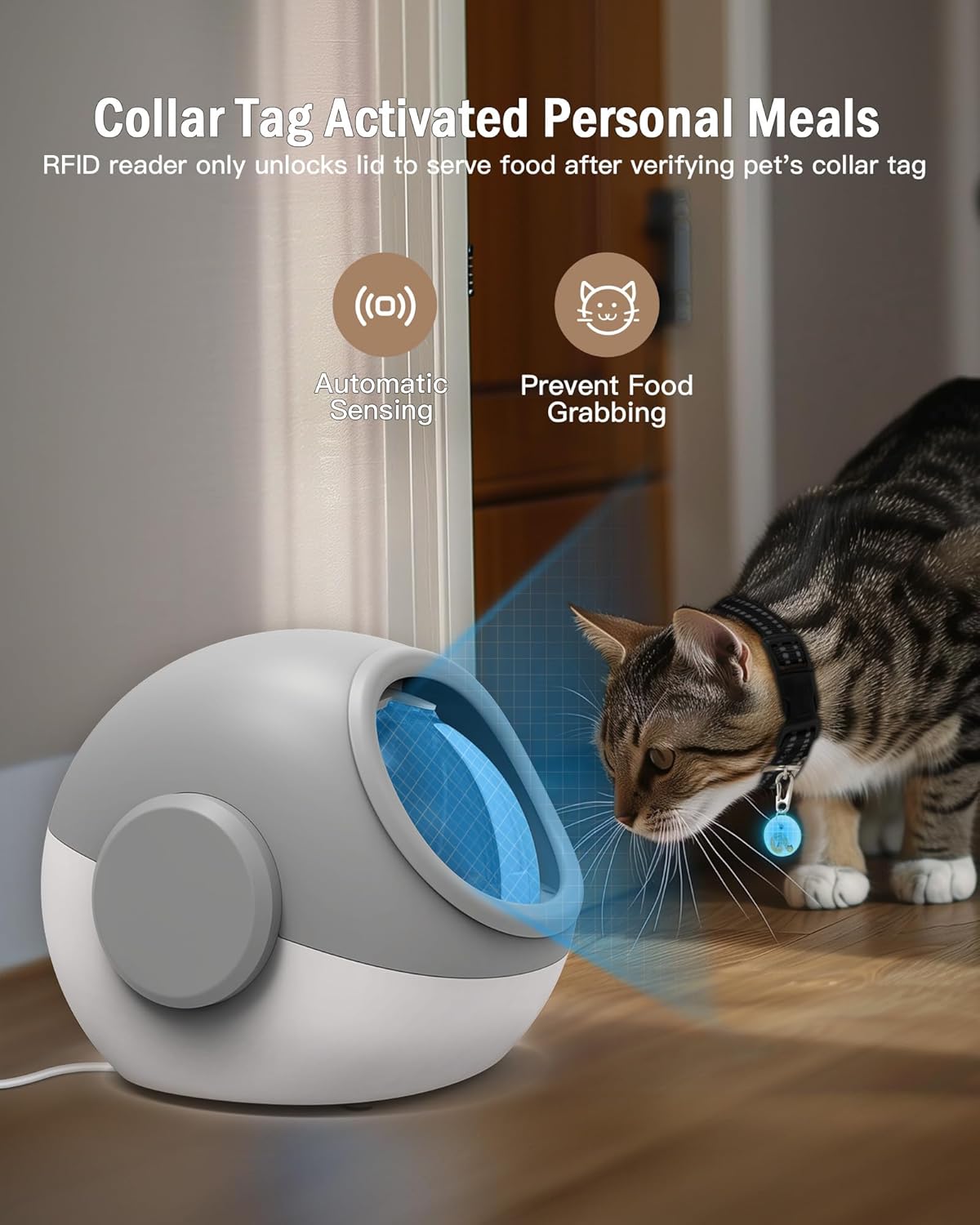 RFID Automatic Cat Feeder, Microchip Pet Feeder, Auto Cat Feeder with Collar, Automatic Pet Feeder - Prevents Food Stealing, Perfect for Prescription