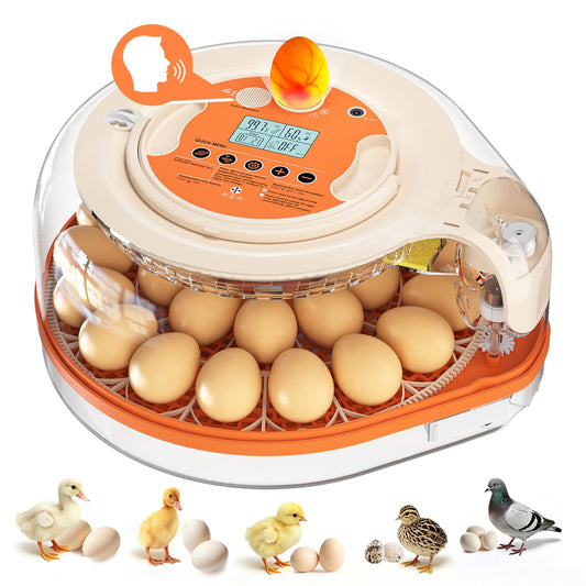 Voice Control Egg Incubator for Hatching 26 Eggs, All-in-One Design | Precise Temp & Humidity Control, 5 Auto Egg Turning Intervals, Egg Candler, Two-Size Egg Trays for Quail, Duck & Goose Eggs