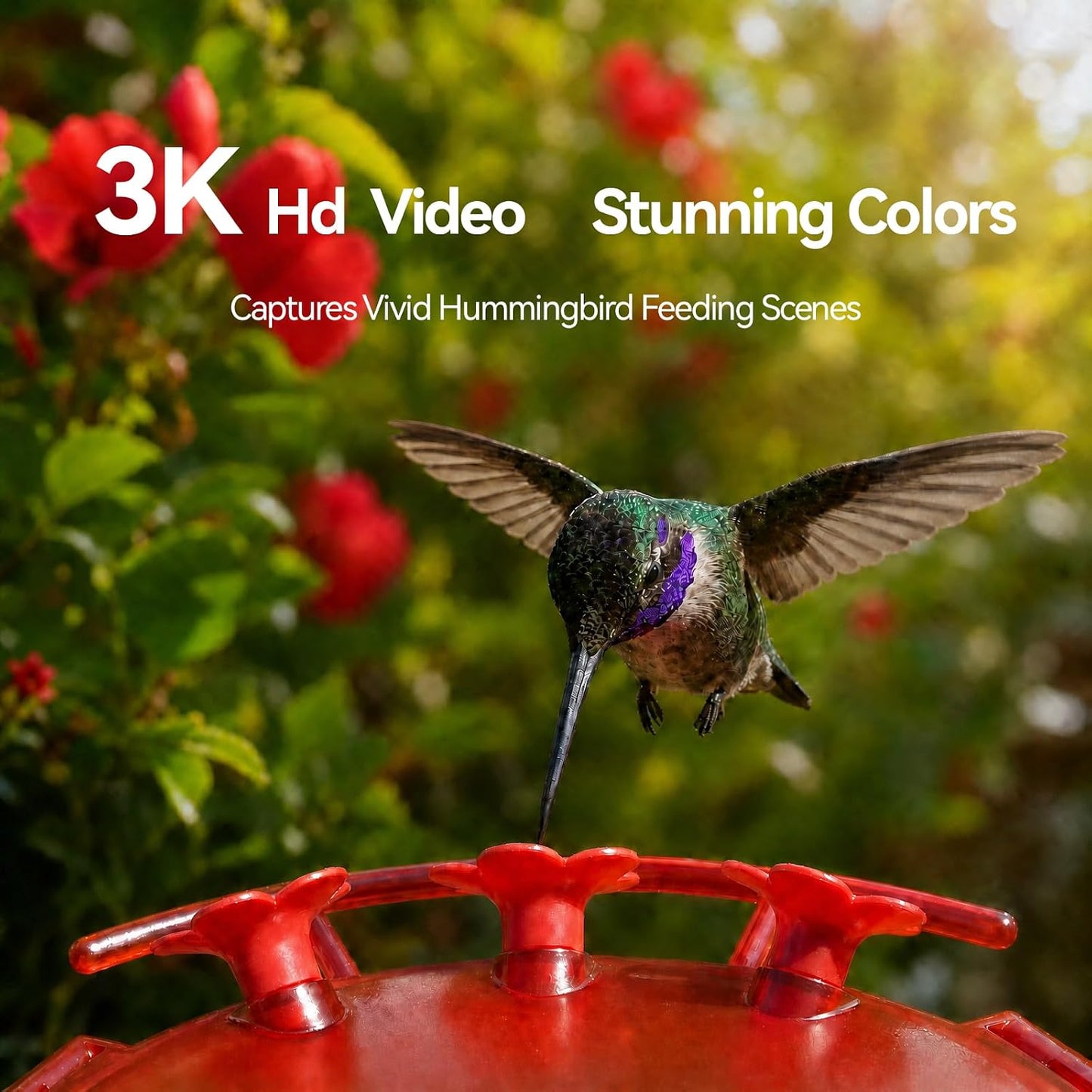 Smart Hummingbird Feeder with Camera 5g WiFi- 3K HD Video Live, Leakproof & Bee Proof, AI Identify Instant Notification, Solar Powered Humming Bird Camera Feeder, Mom Birthday Gifts