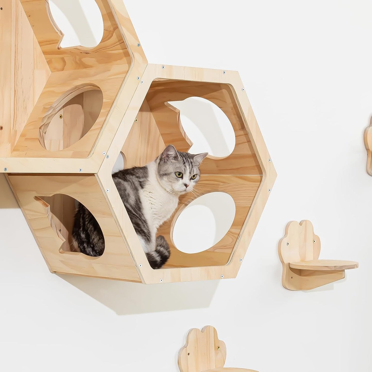 Hexagonal Cat Wall Shelves for Refined Feline, Set of 10 Cat Wall Furniture with Feeding Shelf