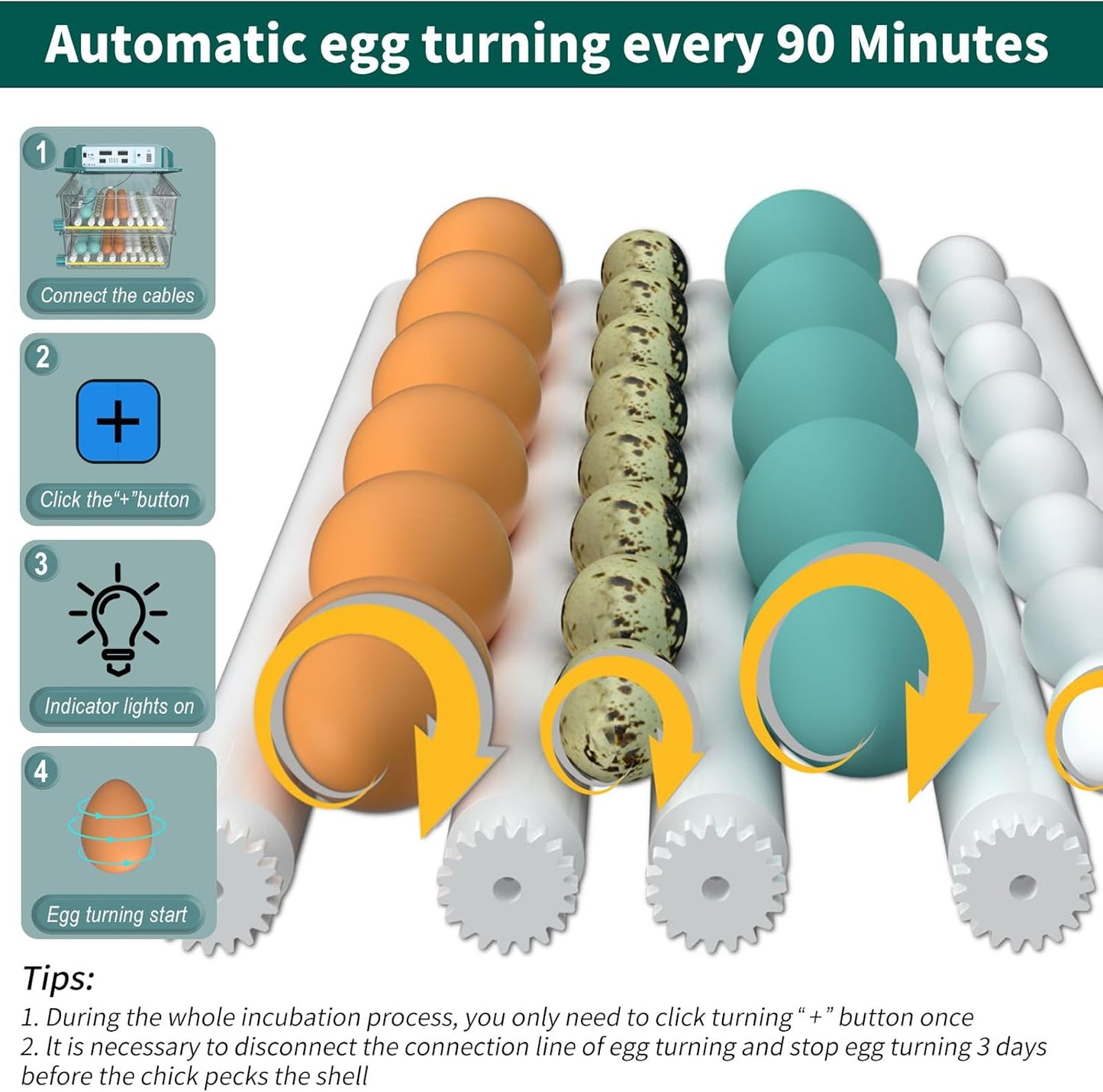 120 Egg Incubator, Incubator for Chicken Eggs with Automatic Egg Turning and Humidity Monitors, 5 Automatic Incubation Modes