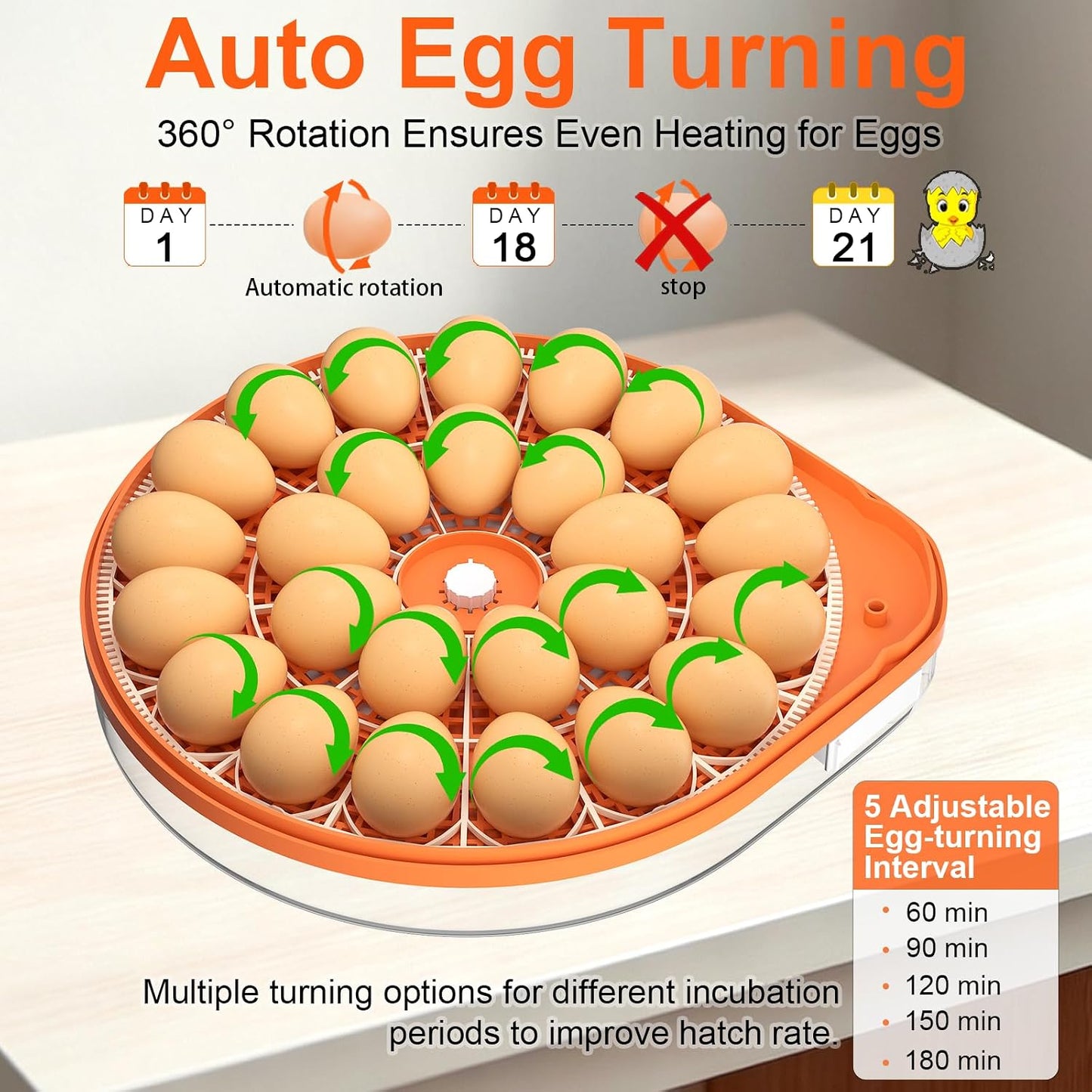 Voice Control Egg Incubator for Hatching 26 Eggs, All-in-One Design | Precise Temp & Humidity Control, 5 Auto Egg Turning Intervals, Egg Candler, Two-Size Egg Trays for Quail, Duck & Goose Eggs