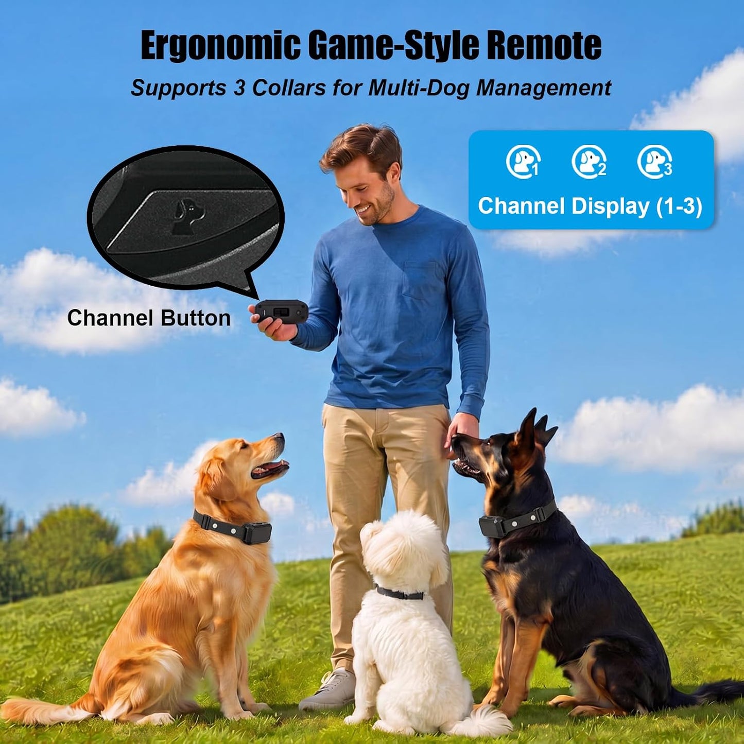 2-in-1 Wireless Dog Fence & Training Collar,300M Range,16 Boundary Levels,Rechargeable Collar with Beep,Vibration & Gentle Static Guidance,IPX6 Waterproof for Small Medium Large Dogs