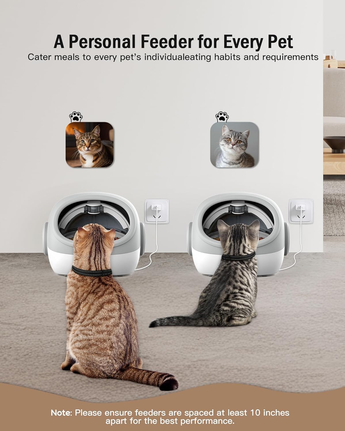 RFID Automatic Cat Feeder, Microchip Pet Feeder, Auto Cat Feeder with Collar, Automatic Pet Feeder - Prevents Food Stealing, Perfect for Prescription