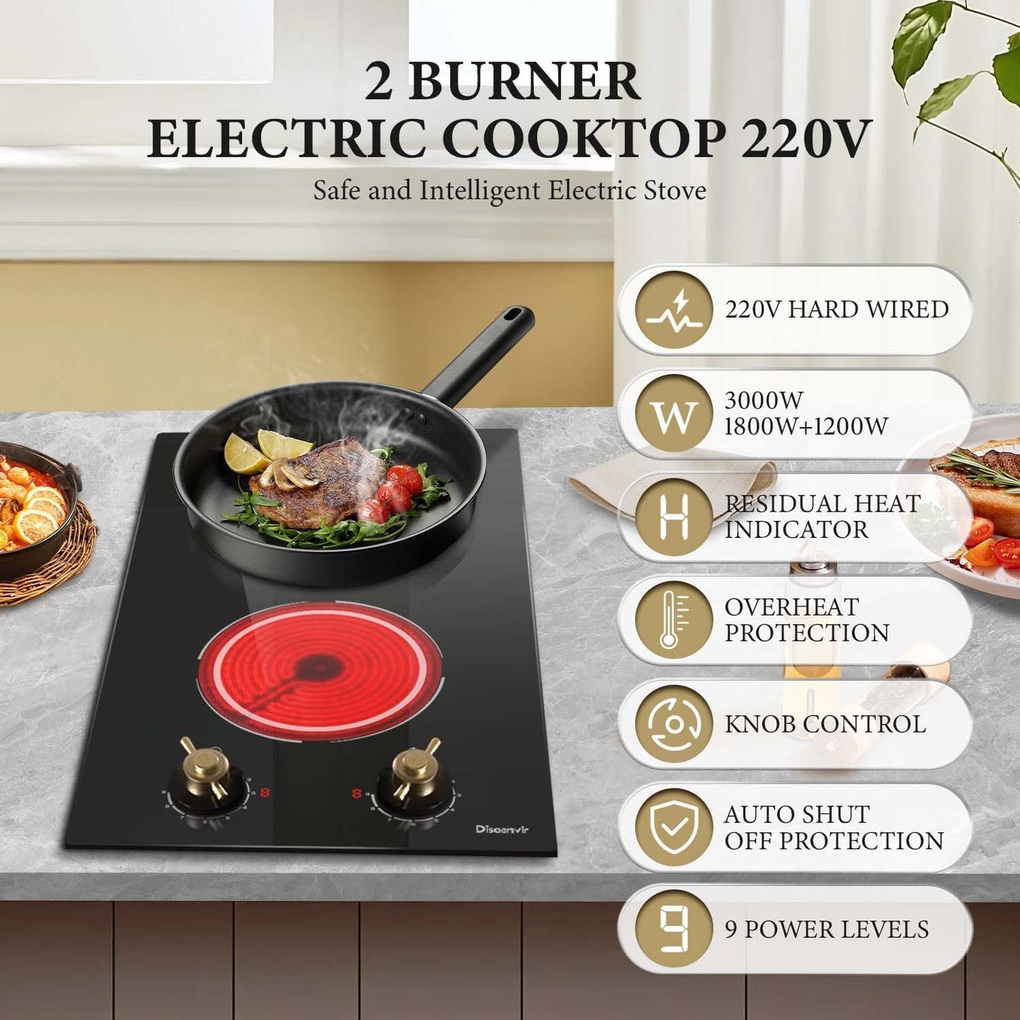 2 Burner Electric Cooktop - 12 Inch Electric Stove Top 3000W, 220V Drop-in Ceramic Cook Top with Retro Knob, 9 Power Heating Level, 220-240V Hard