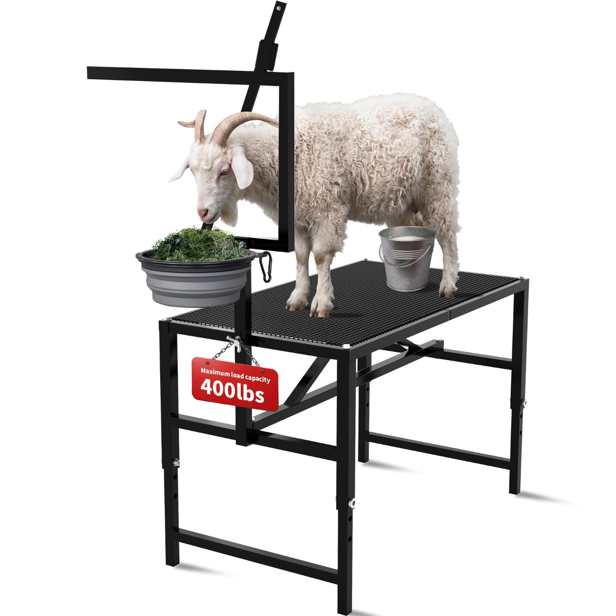 Goat Milking Stand,Goats,Adjustable Feed Bin & Head Holder