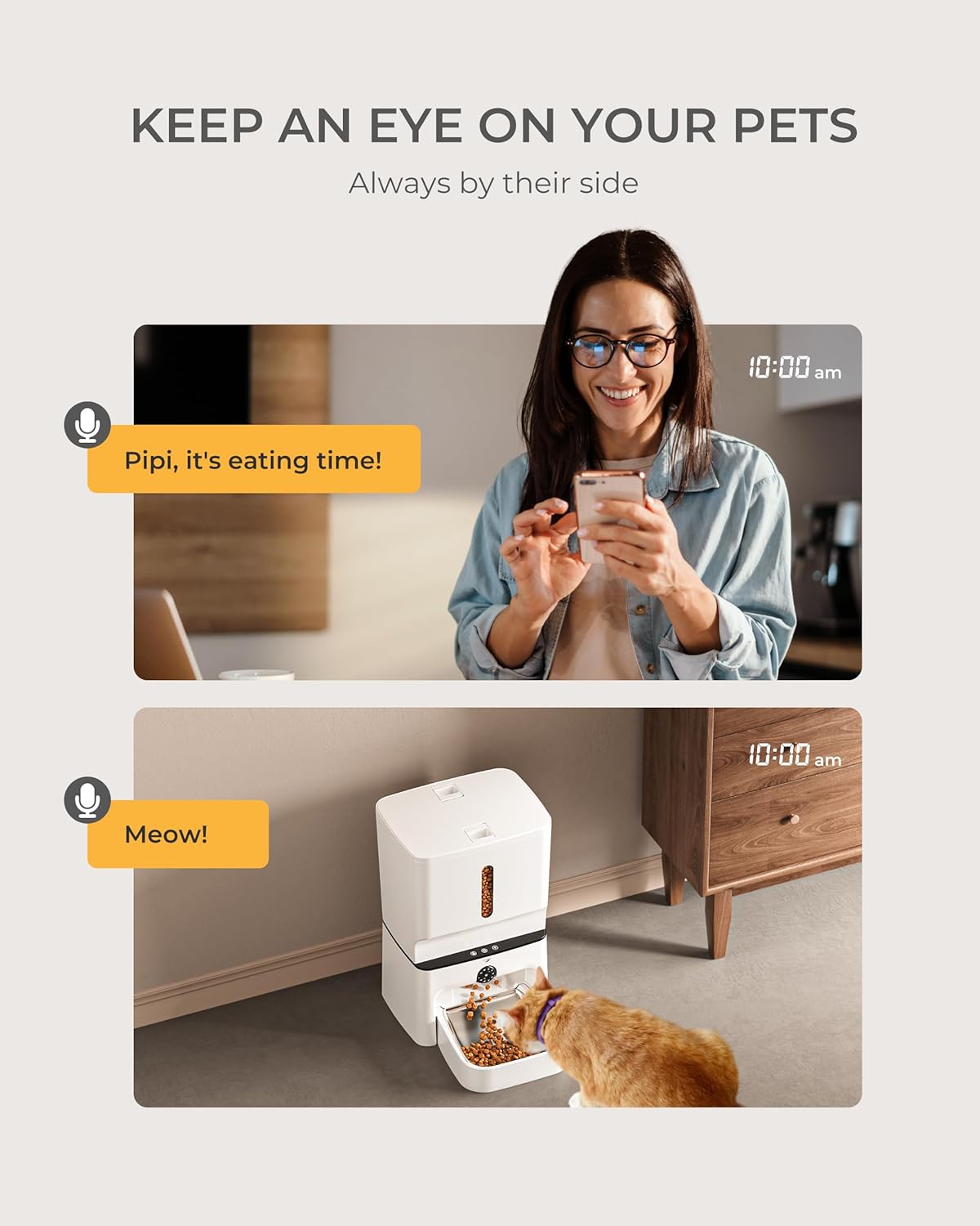 Automatic Cat Feeder with Camera