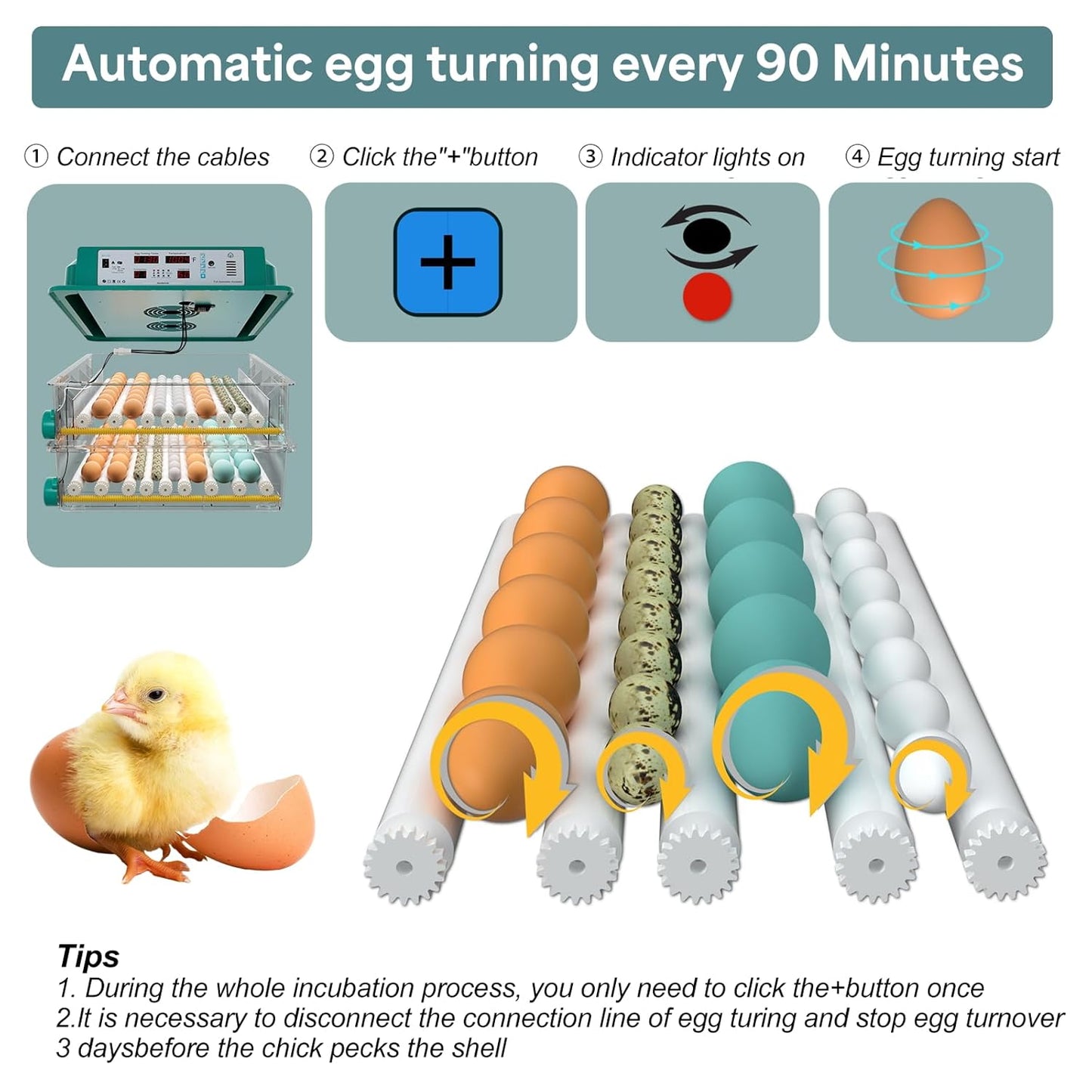 Hethay Egg Incubator, Egg Incubator with Automatic Egg Turning and Humidity Monitoring, Incubator for Chicken Eggs, 120 Eggs Incubator with Egg