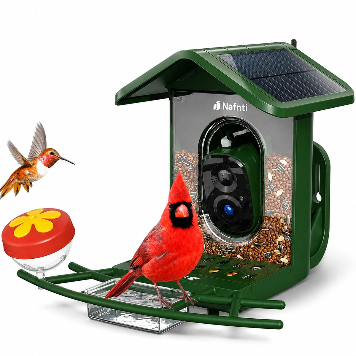 Bird Feeder with Camera 5GHz WiFi No Subscription, Solar Powered