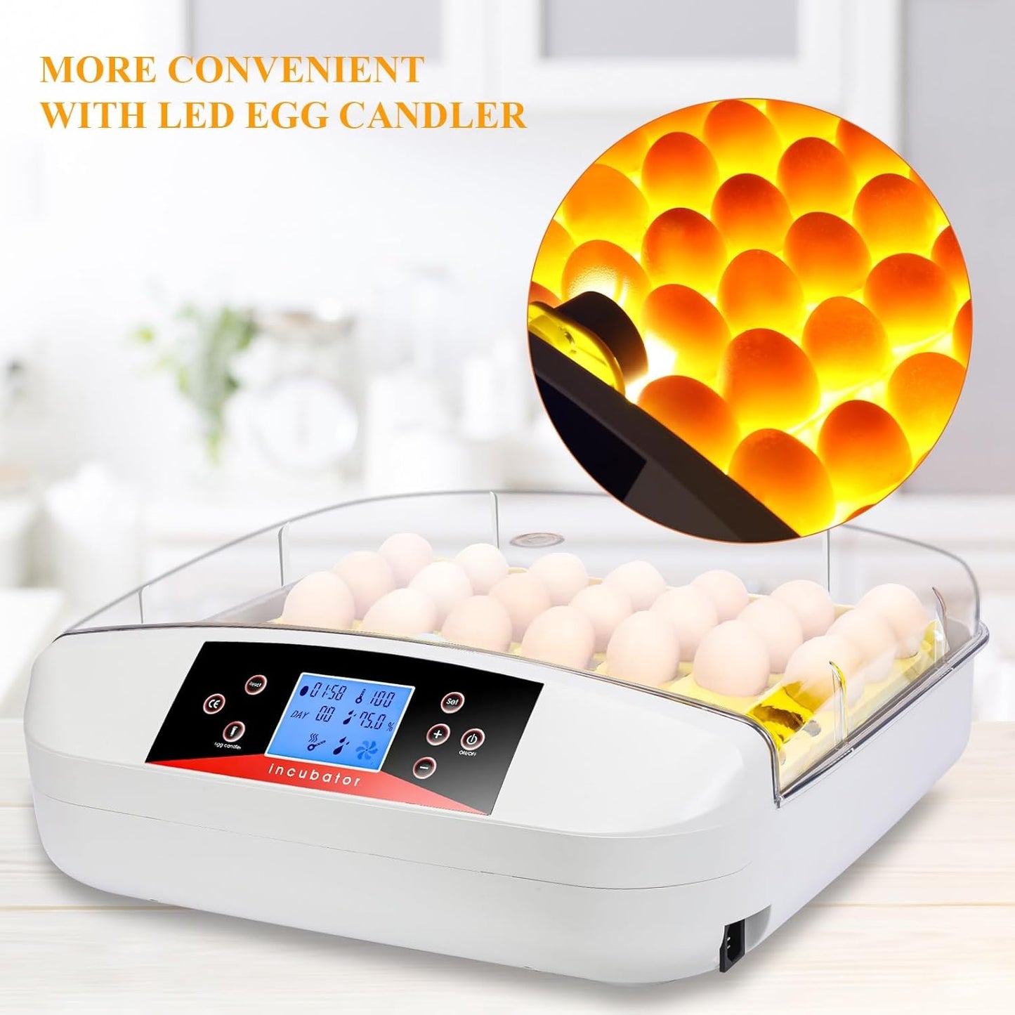 wyness 56 Egg Incubator with Automatic Egg Turning, LED Egg Candler and Automatic Temperature Control, Incubators for Hatching Eggs with  Display for