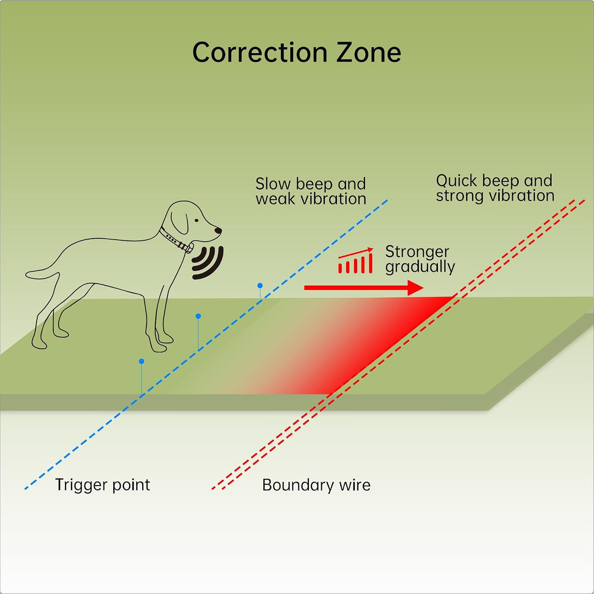 In-Ground Dog Fence, Underground Electric Pet Fence Training Collar System 1 Dog Fence Kit