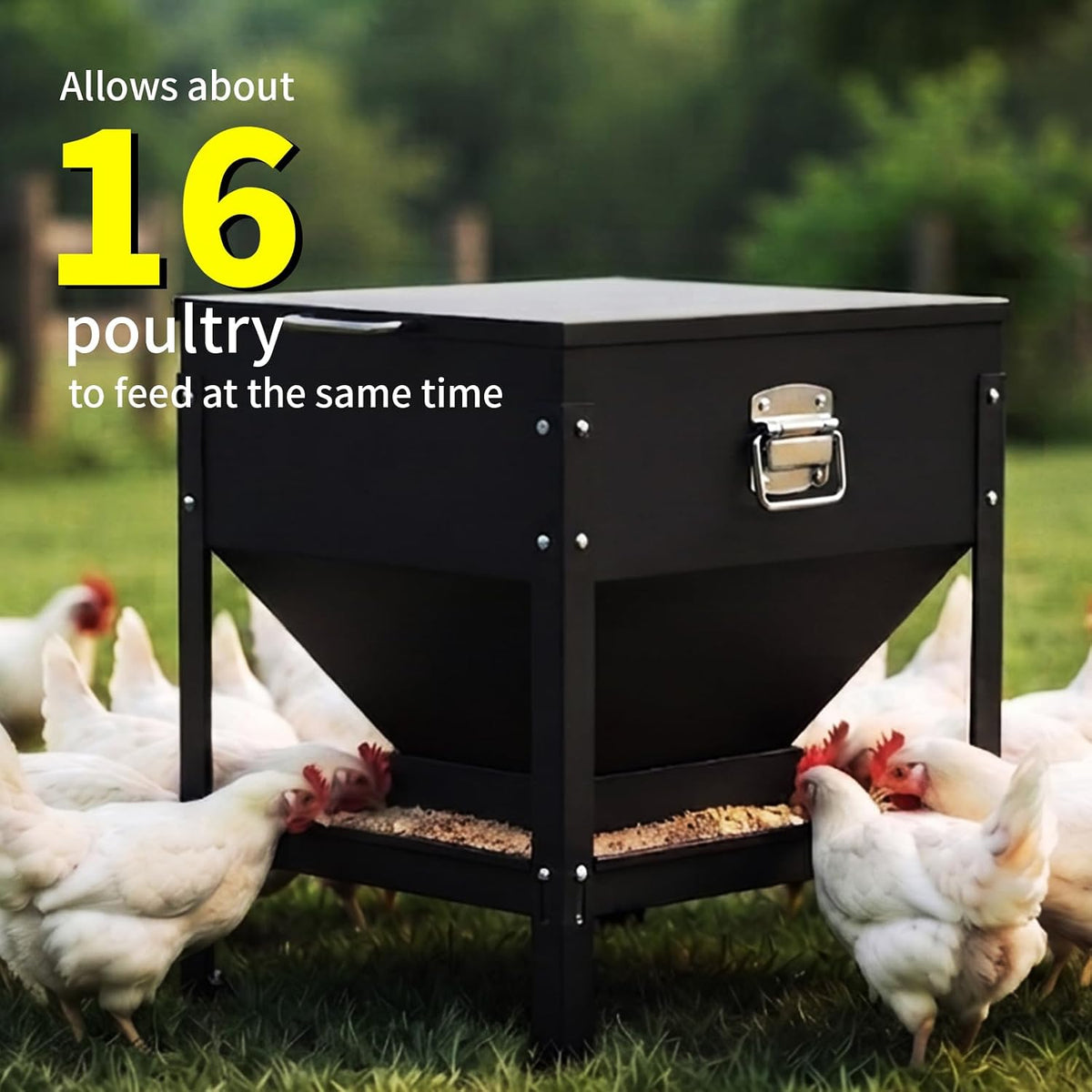 Automatic Large No Waste Chicken Feeder and Waterer Set