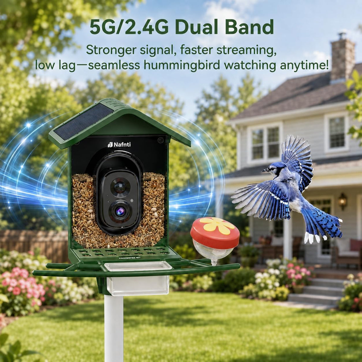 Bird Feeder with Camera 5GHz WiFi No Subscription, Solar Powered