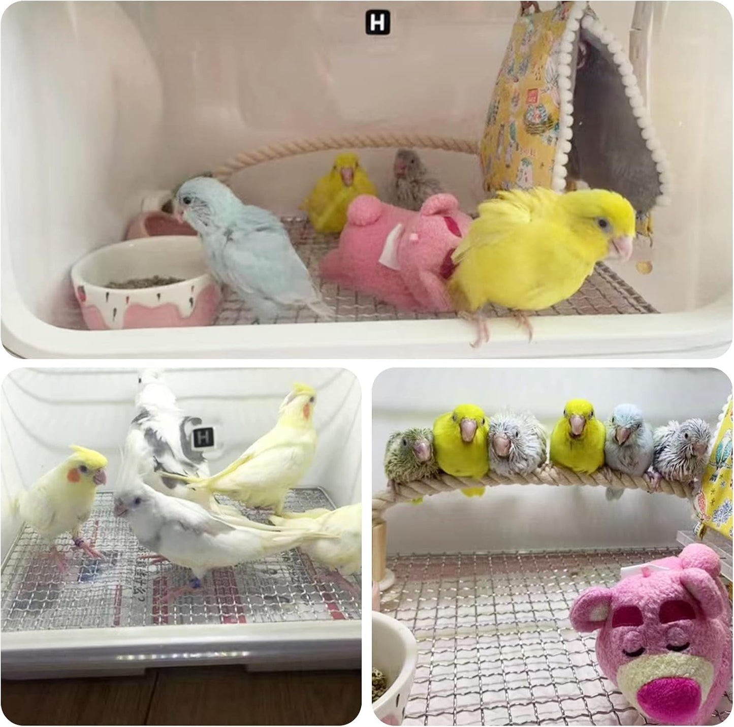 Small Full Featured Brooder/Portable Intensive Care Unit for Warming Parrot or Sick and Injured Birds,Baby Bird Incubator for Small Birds,Parrot Cage with Heating,Comes with Car Power Cord