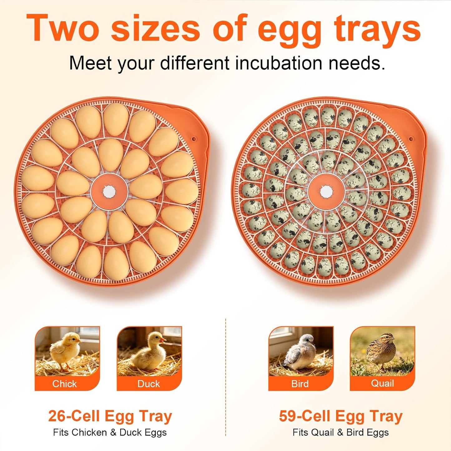 Voice Control Egg Incubator for Hatching 26 Eggs, All-in-One Design | Precise Temp & Humidity Control, 5 Auto Egg Turning Intervals, Egg Candler, Two-Size Egg Trays for Quail, Duck & Goose Eggs