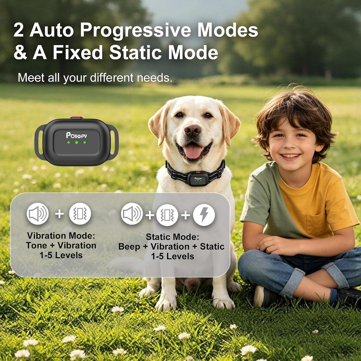 In-Ground Dog Fence, Underground Electric Pet Fence Training Collar System 1 Dog Fence Kit