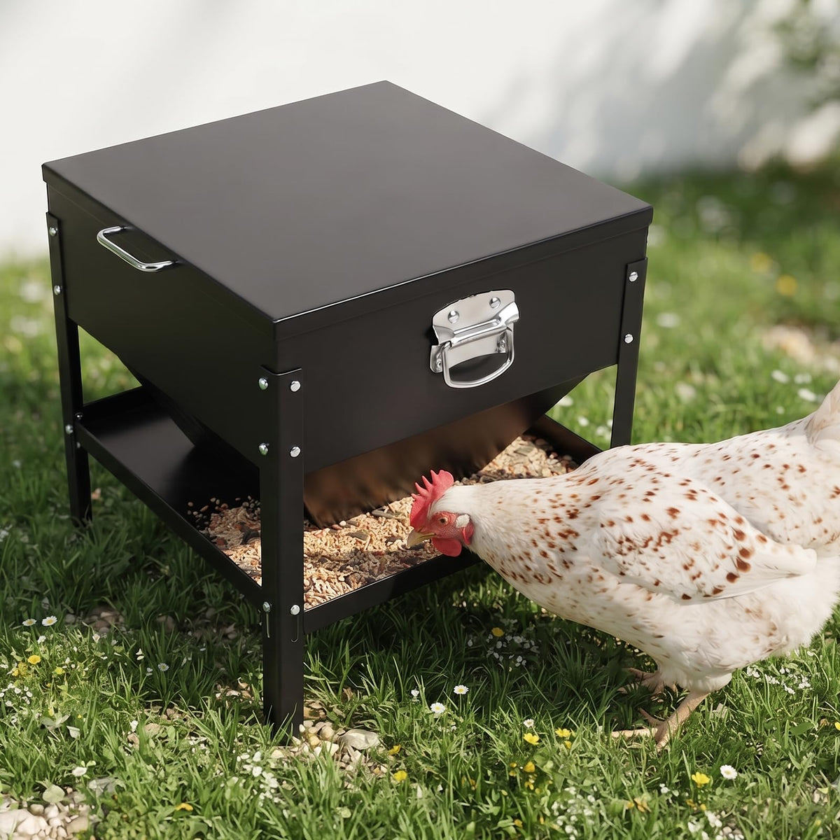 Automatic Large No Waste Chicken Feeder and Waterer Set