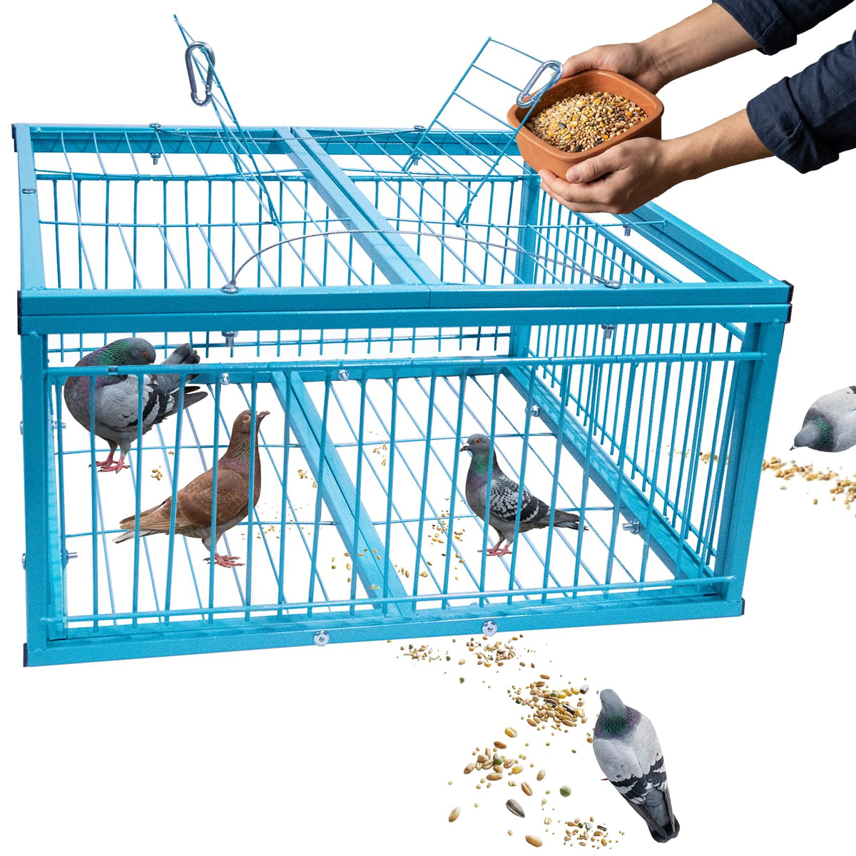 Walk In Traps 4-Sided Walk-in Pigeon Trap - Humane Live Bird Cage for Safe Capture ...