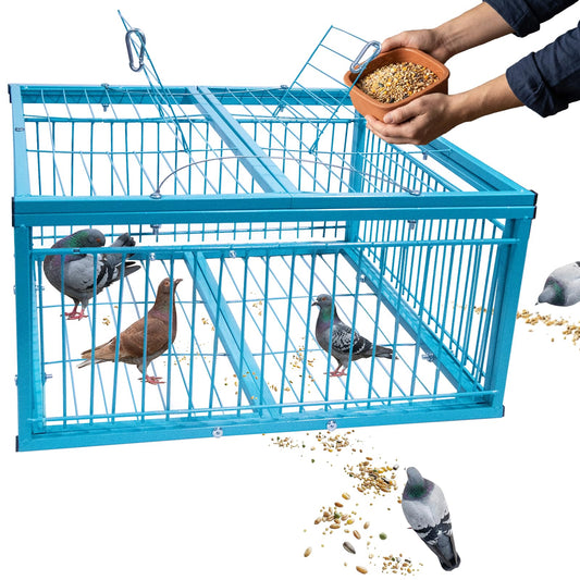 4-Sided Walk-in Pigeon Trap - Humane Live Bird Cage for Safe Capture & Transport